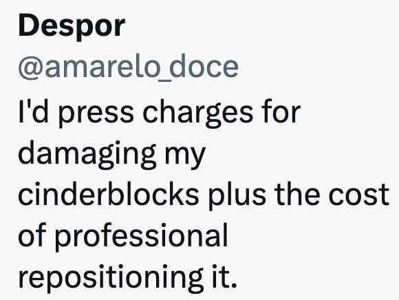 Despor @amarelo_doce I'd press charges for damaging my cinderblocks plus the cost of professional repositioning it.