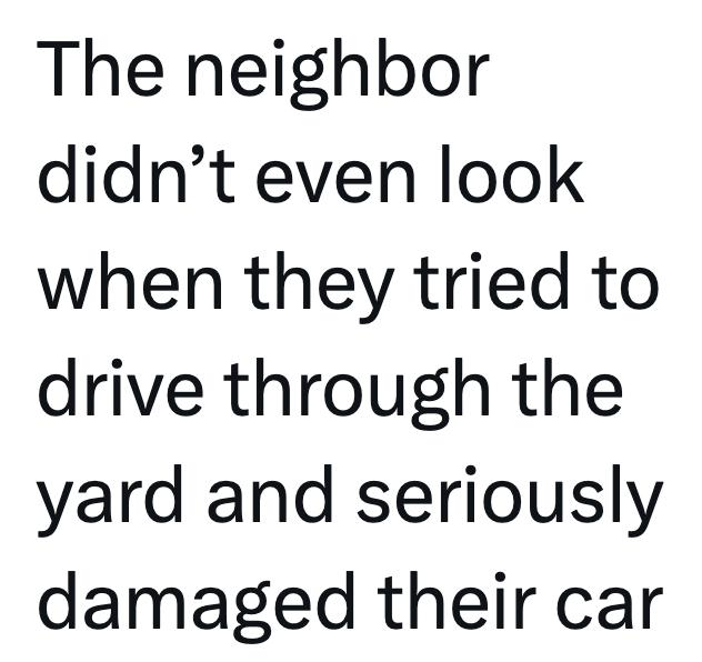 The neighbor didn't even look when they tried to drive through the yard and seriously damaged their car