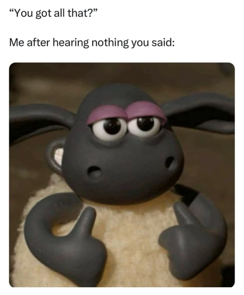 "You got all that?" Me after hearing nothing you said: