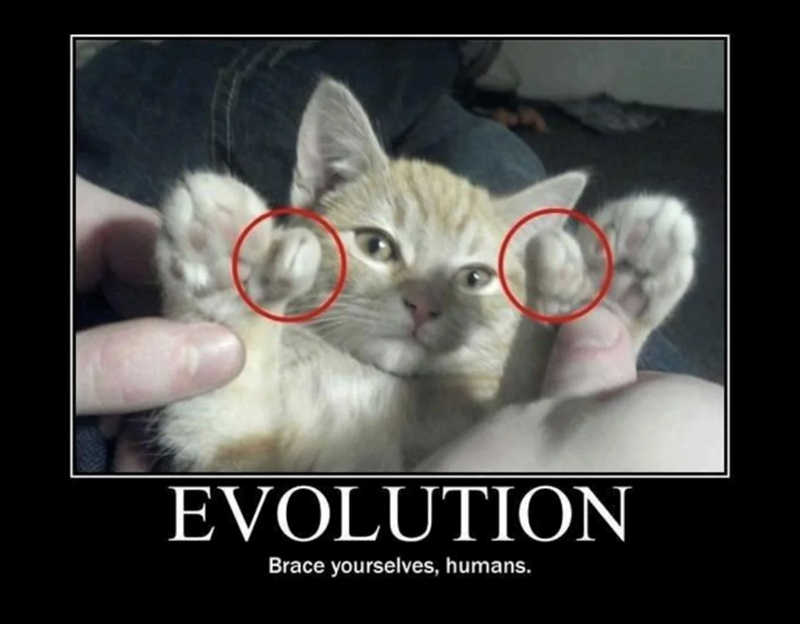 EVOLUTION Brace yourselves, humans.