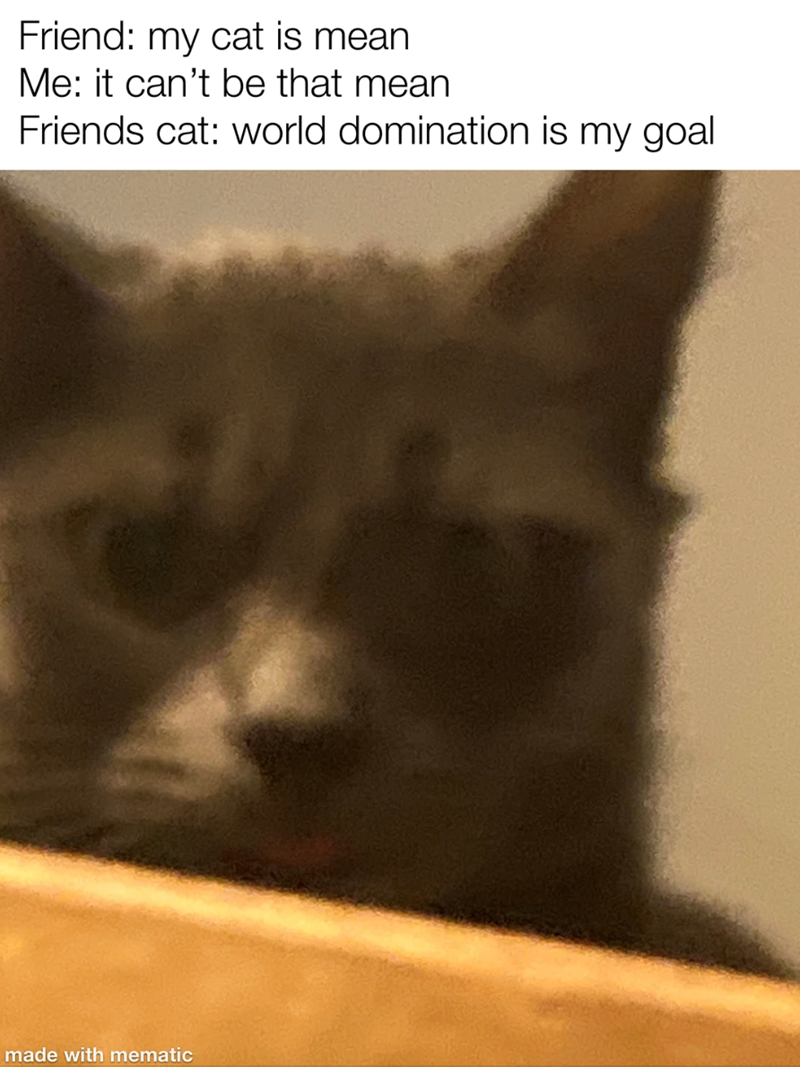 Friend: my cat is mean Me: it can't be that mean Friends cat: world domination is my goal made with mematic