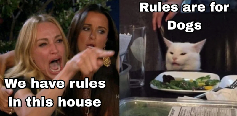 We have rules in this house Rules are for Dogs