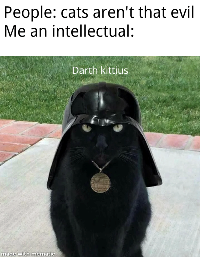 People: cats aren't that evil Me an intellectual: made with mematic Darth kittius