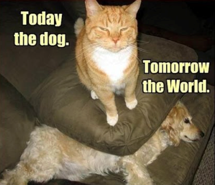 Today the dog. Tomorrow the World.