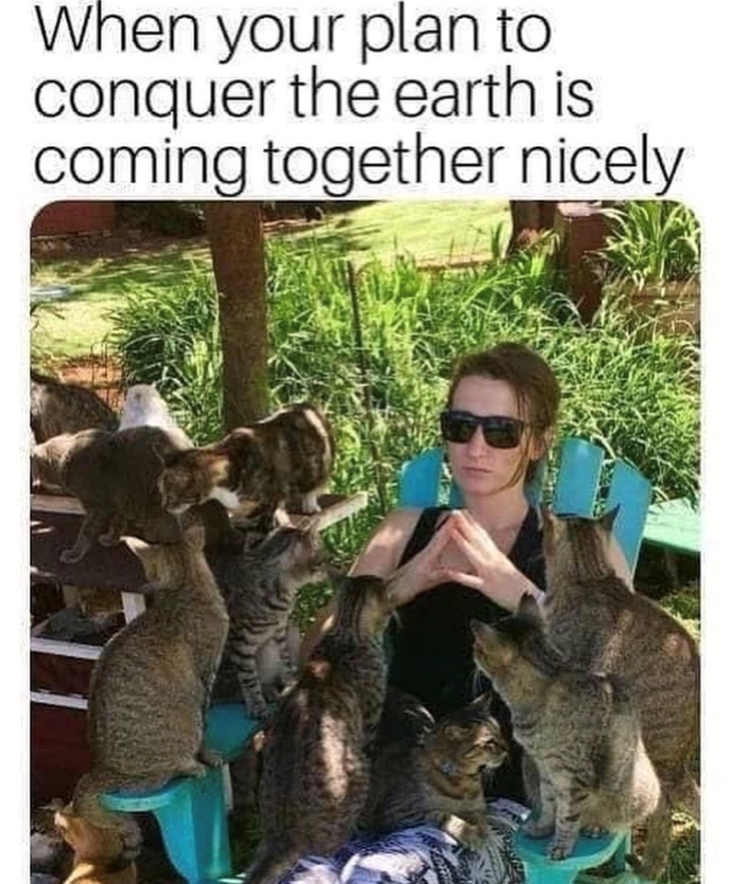 When your plan to conquer the earth is coming together nicely