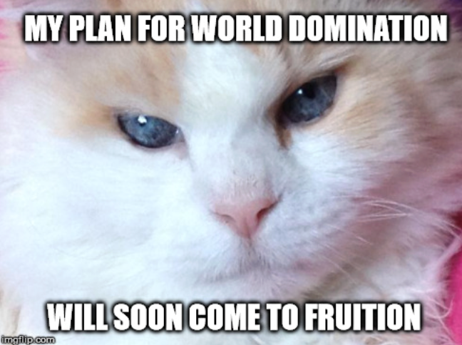 MY PLAN FOR WORLD DOMINATION imgflip.com WILL SOON COME TO FRUITION