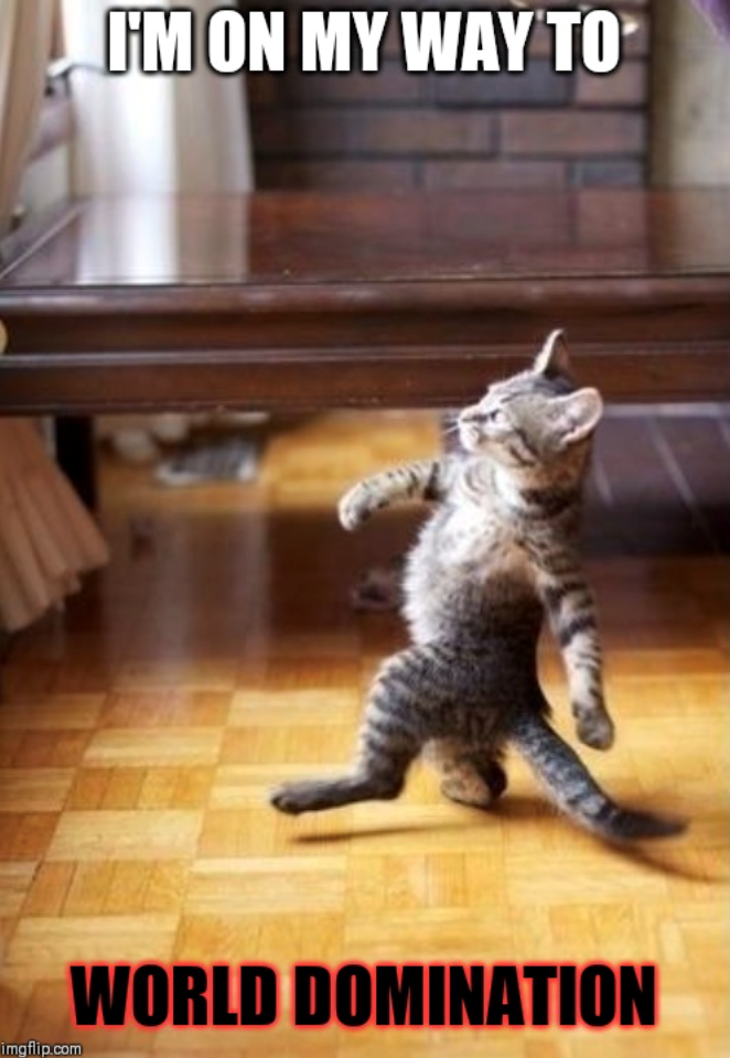 I'M ON MY WAY TO imgflip.com WORLD DOMINATION