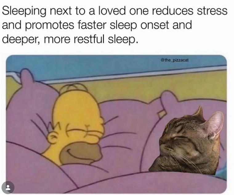 Sleeping next to a loved one reduces stress and promotes faster sleep onset and deeper, more restful sleep. @the_pizzacat
