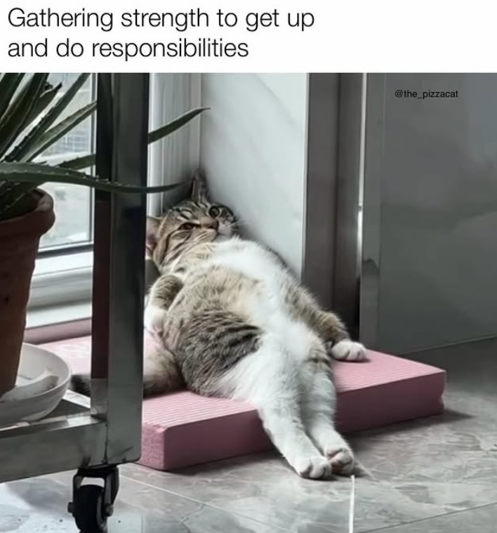 Gathering strength to get up and do responsibilities @the_pizzacat