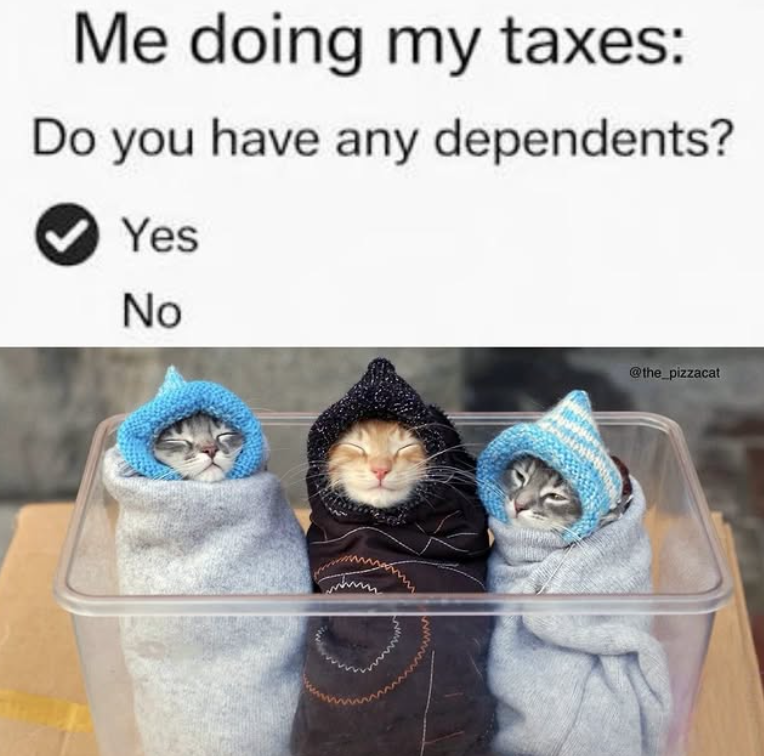 Me doing my taxes: Do you have any dependents? Yes No @the_pizzacat