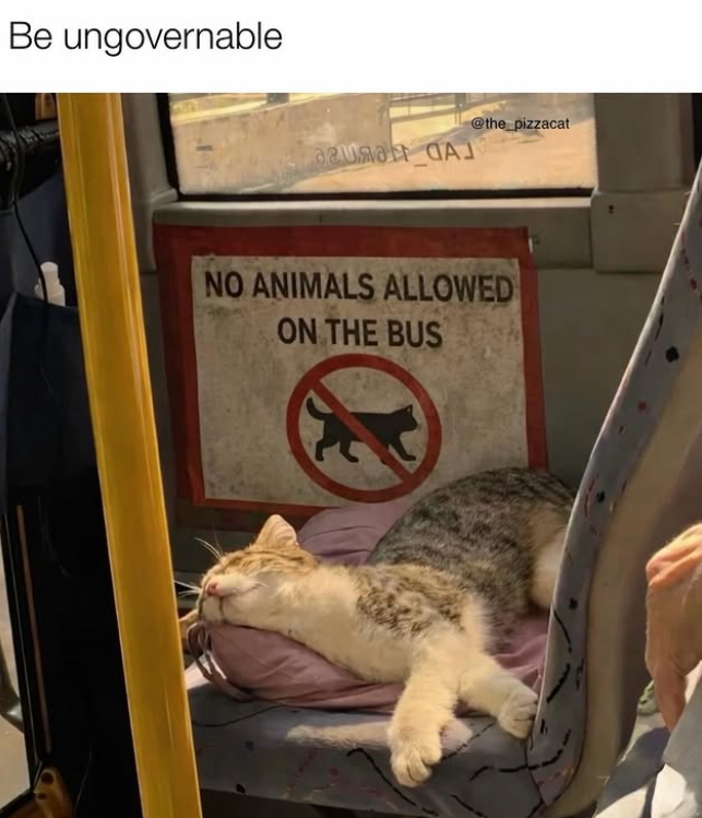 Be ungovernable azuma CAL @the_pizzacat NO ANIMALS ALLOWED ON THE BUS