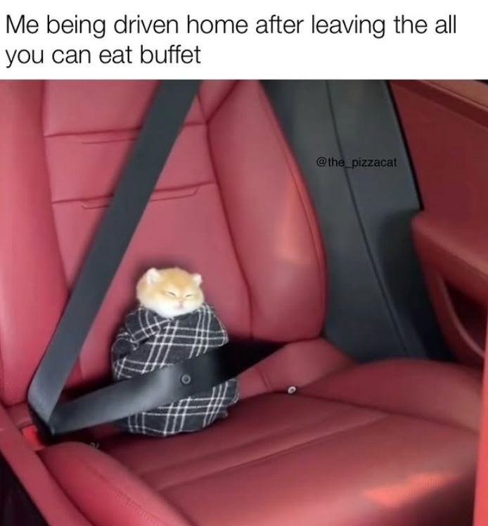 Me being driven home after leaving the all you can eat buffet @the_pizzacat