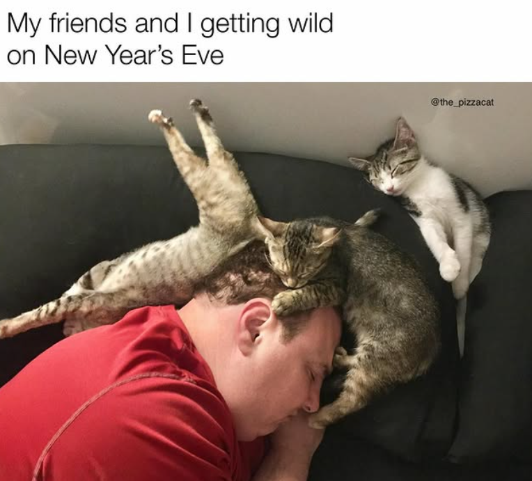 My friends and I getting wild on New Year's Eve @the_pizzacat