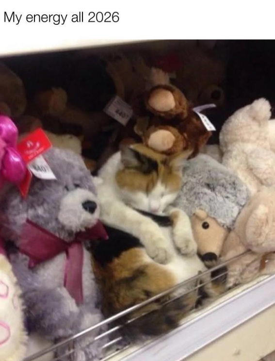 My energy all 2026 4407