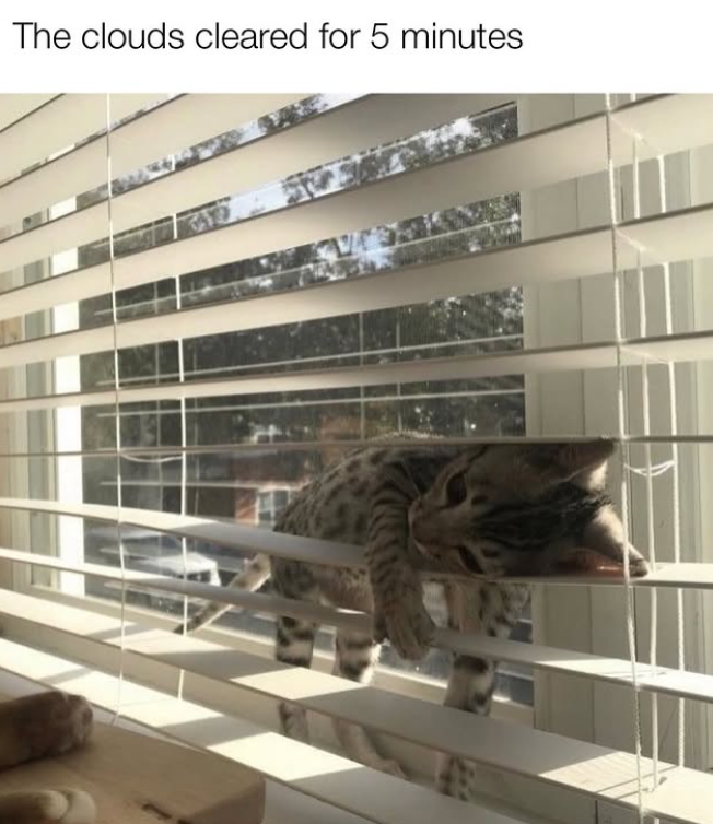 The clouds cleared for 5 minutes 315