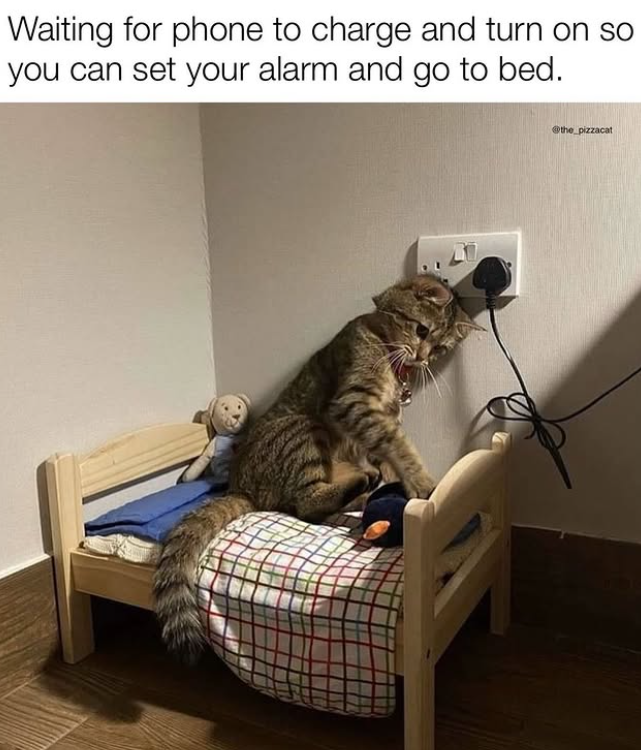 Waiting for phone to charge and turn on so you can set your alarm and go to bed. @the_pizzacat
