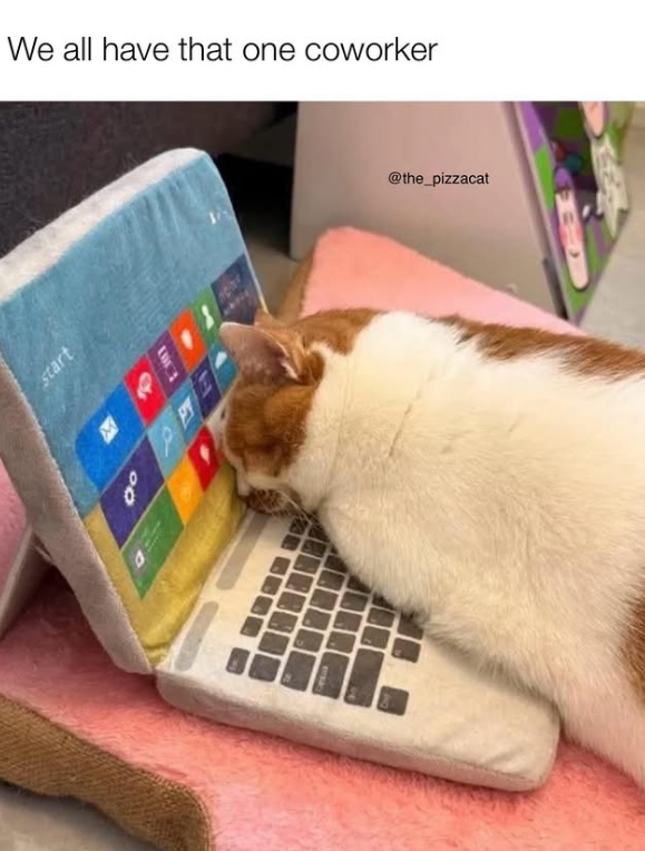 We all have that one coworker start 00 D @the_pizzacat