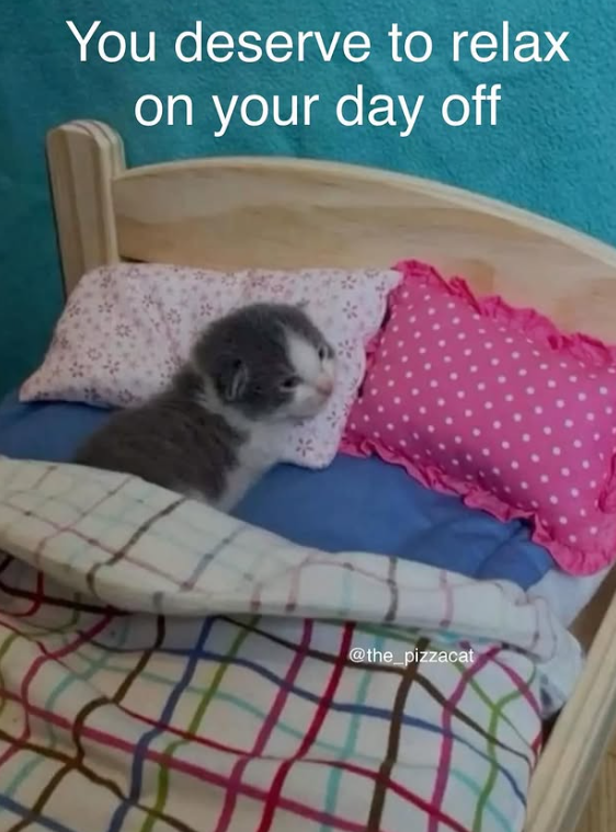 You deserve to relax on your day off @the_pizzacat