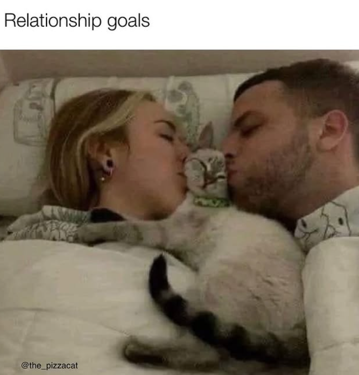 Relationship goals @the_pizzacat