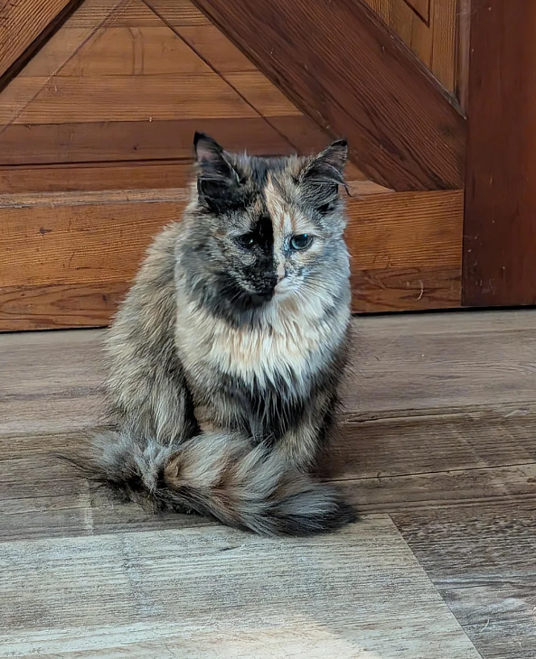 Cheezburger Image 10623354880