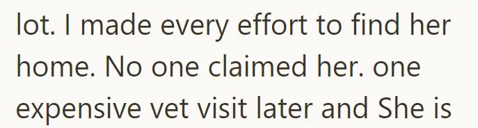 lot. I made every effort to find her home. No one claimed her. one expensive vet visit later and She is