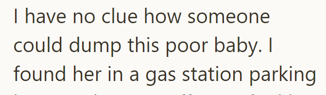 I have no clue how someone could dump this poor baby. I found her in a gas station parking