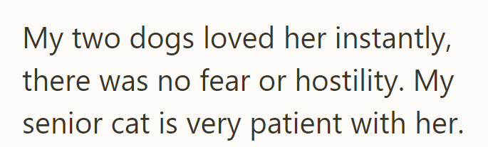 My two dogs loved her instantly, there was no fear or hostility. My senior cat is very patient with her.