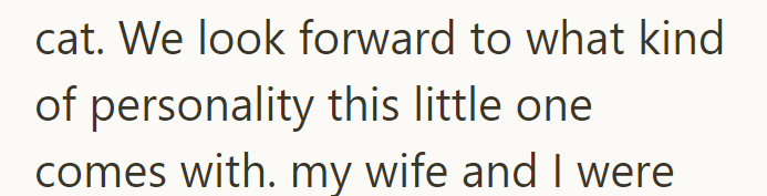 cat. We look forward to what kind of personality this little one comes with. my wife and I were