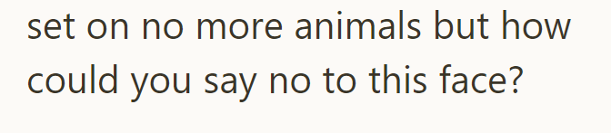 set on no more animals but how could you say no to this face?