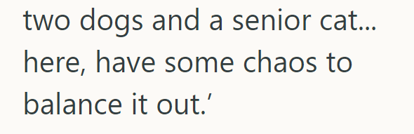 two dogs and a senior cat... here, have some chaos to balance it out.'