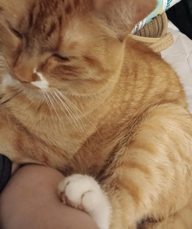 Cheezburger Image 10623359232