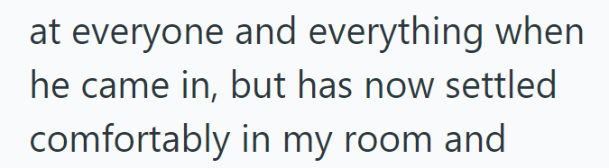 at everyone and everything when he came in, but has now settled comfortably in my room and