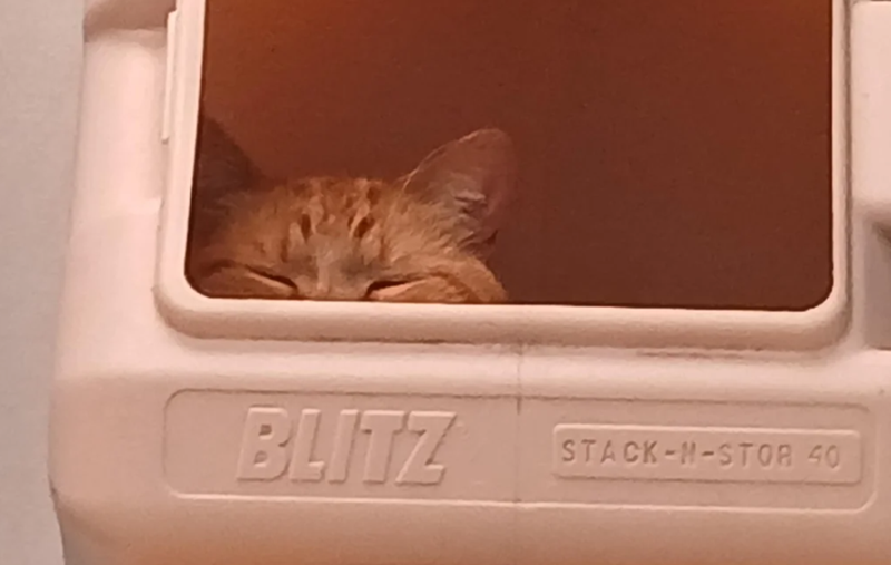 BLITZ STACK-N-STOR 40