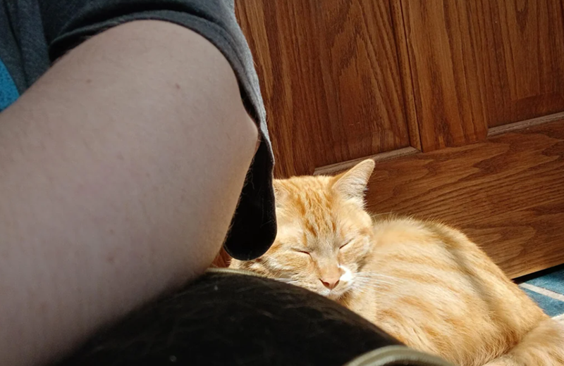 Cheezburger Image 10623360512