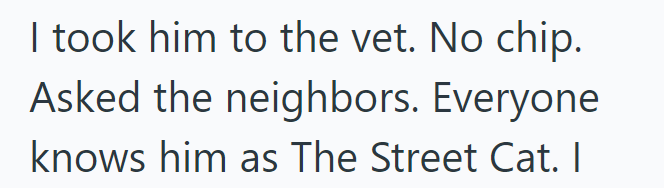I took him to the vet. No chip. Asked the neighbors. Everyone knows him as The Street Cat. I