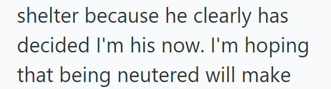 shelter because he clearly has decided I'm his now. I'm hoping that being neutered will make