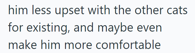 him less upset with the other cats for existing, and maybe even make him more comfortable