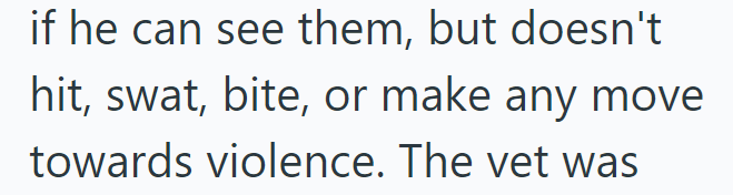 if he can see them, but doesn't hit, swat, bite, or make any move towards violence. The vet was