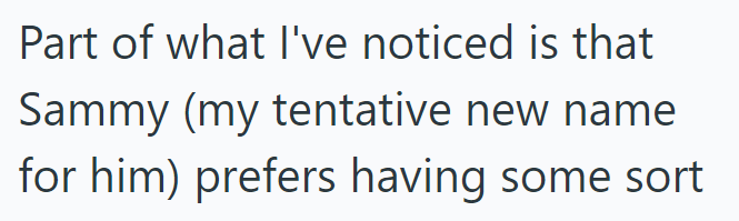 Part of what I've noticed is that Sammy (my tentative new name for him) prefers having some sort