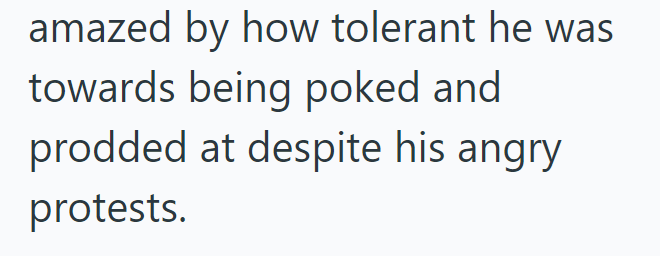 amazed by how tolerant he was towards being poked and prodded at despite his angry protests.