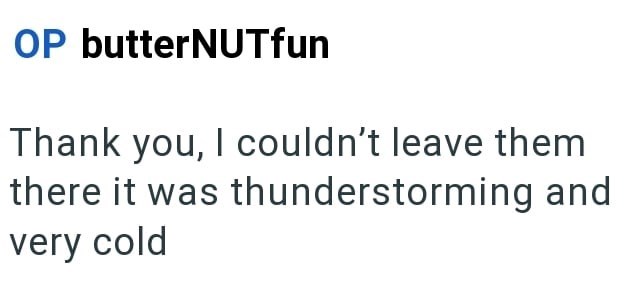OP butterNUTfun Thank you, I couldn't leave them there it was thunderstorming and very cold