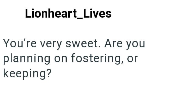Lionheart_Lives You're very sweet. Are you planning on fostering, or keeping?