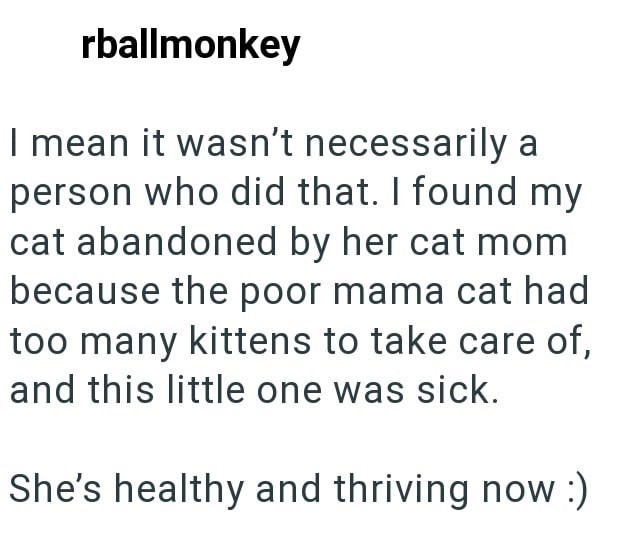 rballmonkey I mean it wasn't necessarily a person who did that. I found my cat abandoned by her cat mom because the poor mama cat had too many kittens to take care of, and this little one was sick. She's healthy and thriving now :)