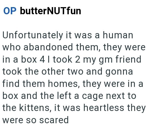 OP butterNUTfun Unfortunately it was a human who abandoned them, they were in a box 4 I took 2 my gm friend took the other two and gonna find them homes, they were in a box and the left a cage next to the kittens, it was heartless they were so scared