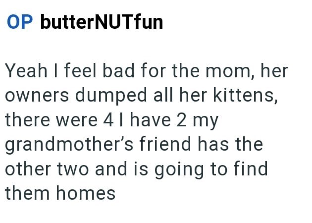 OP butterNUTfun Yeah I feel bad for the mom, her owners dumped all her kittens, there were 4 I have 2 my grandmother's friend has the other two and is going to find them homes