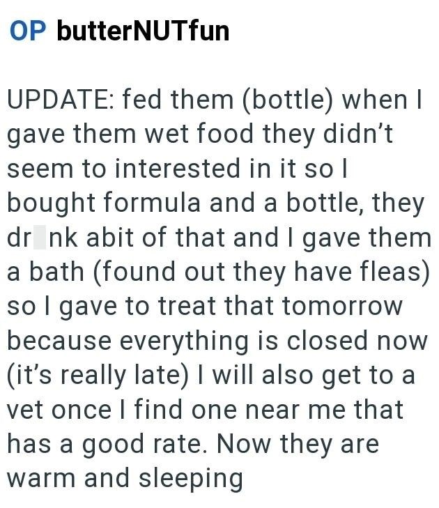 OP butterNUTfun UPDATE: fed them (bottle) when I gave them wet food they didn't seem to interested in it so I bought formula and a bottle, they dr nk abit of that and I gave them a bath (found out they have fleas) so I gave to treat that tomorrow because everything is closed now (it's really late) I will also get to a vet once I find one near me that has a good rate. Now they are warm and sleeping