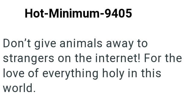 Hot-Minimum-9405 Don't give animals away to strangers on the internet! For the love of everything holy in this world.