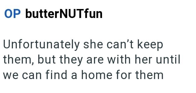 OP butterNUTfun Unfortunately she can't keep them, but they are with her until we can find a home for them