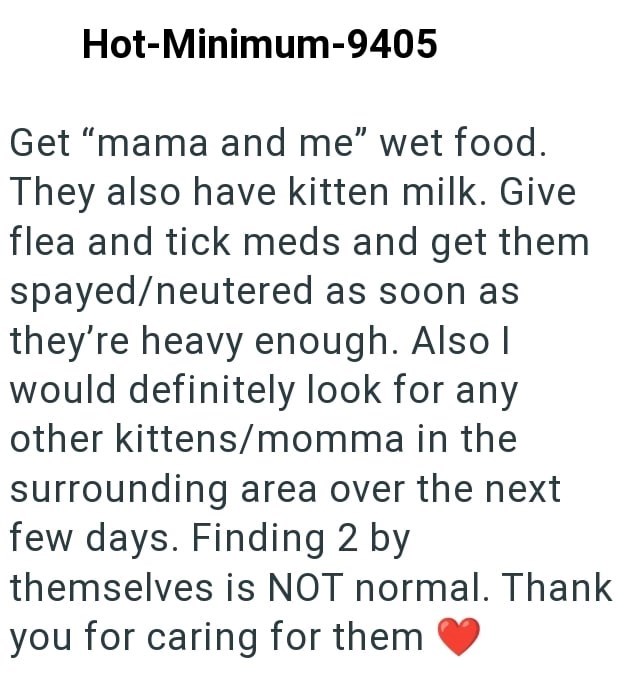Hot-Minimum-9405 Get "mama and me" wet food. They also have kitten milk. Give flea and tick meds and get them spayed/neutered as soon as they're heavy enough. Also I| would definitely look for any other kittens/momma in the surrounding area over the next few days. Finding 2 by themselves is NOT normal. Thank you for caring for them ♥