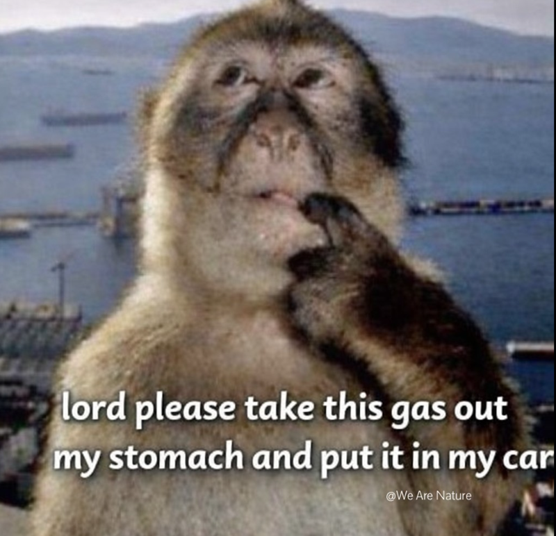 lord please take this gas out my stomach and put it in my car @We Are Nature